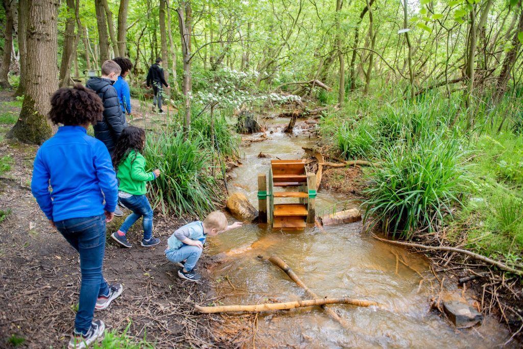 Guided Nature Explorer Activities