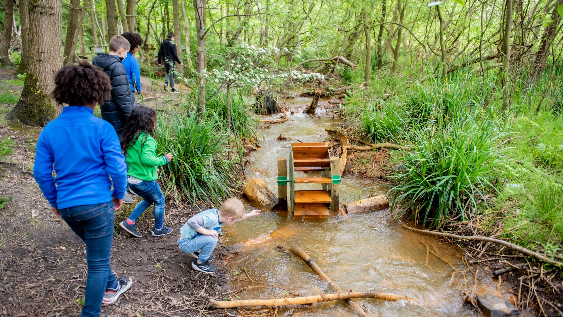 Guided Nature Explorer Activities