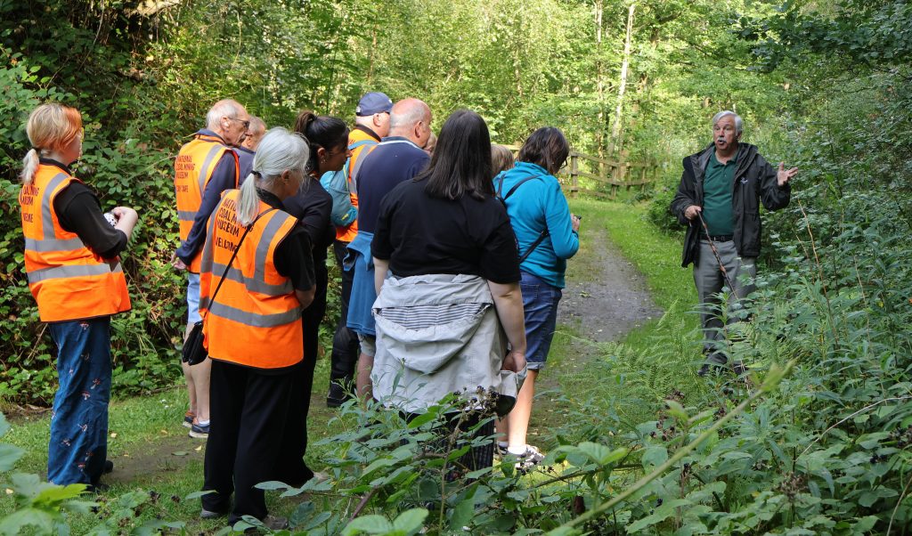 Meet the Trees: Guided Walk