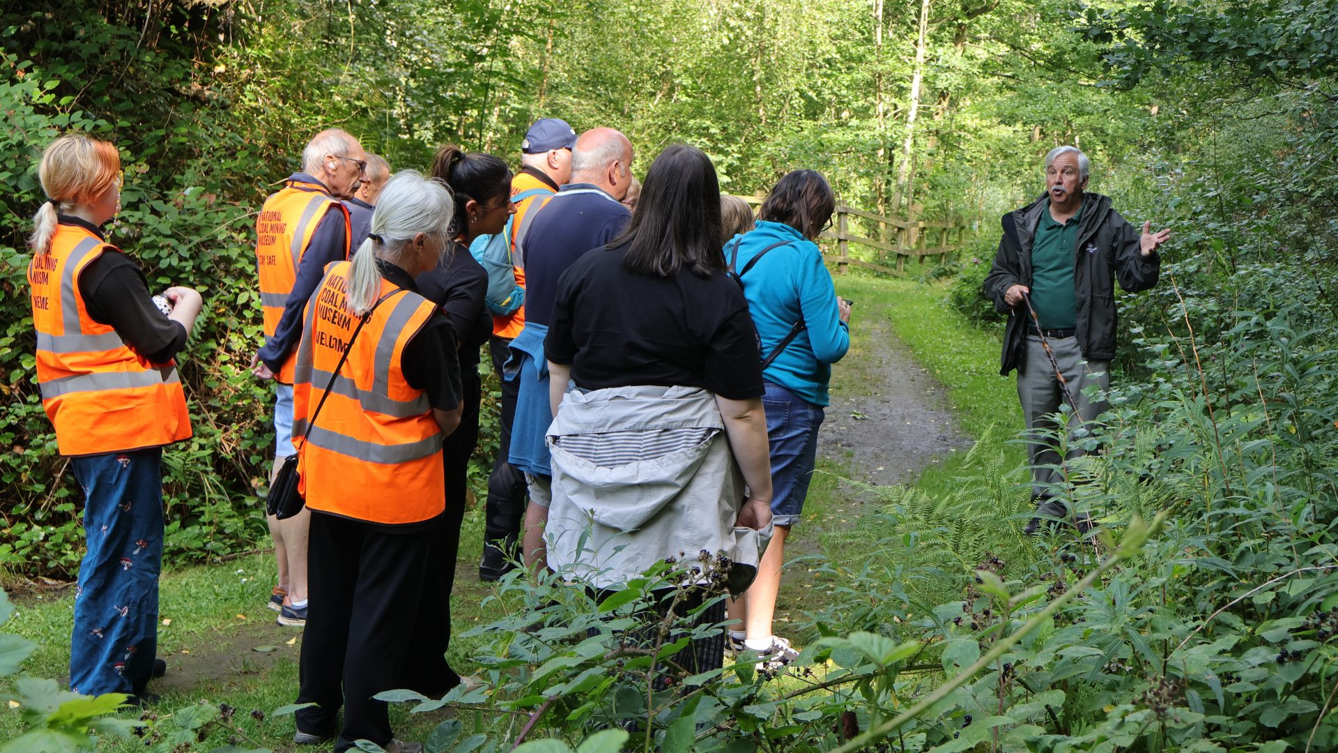 Meet the Trees: Guided Walk